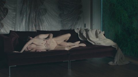 Viviane Albertine - Nude & Sexy Videos in Exhibition (2013)