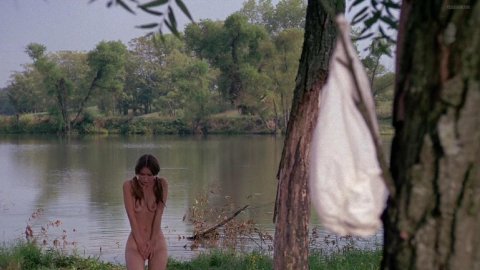 Monica Gayle - Nude & Sexy Videos in Nashville Girl (1976)