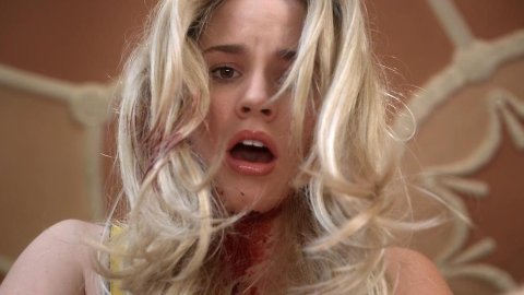 Christa B. Allen - Nude & Sexy Videos in Detention of the Dead (2012)